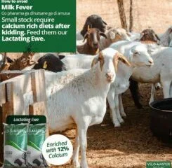 Ross Africa Botswana 77 VELD – MASTER