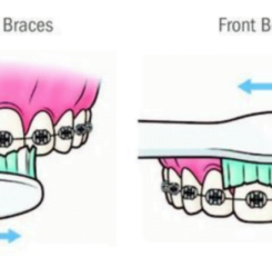 GENESIS ORTHODONTIST