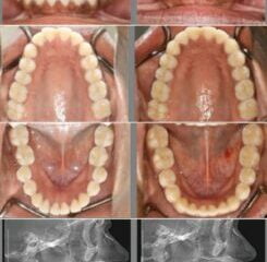 THE ORTHODONTIC CENTRE (PTY) LTD