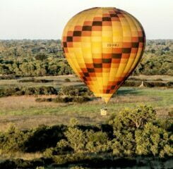 OKAVANGO WILDERNESS SAFARIS