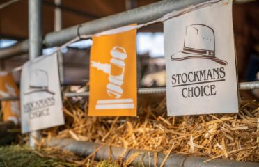 Stockmans Choice