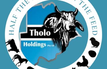 Tholo Holdings
