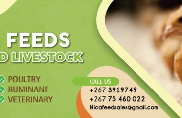 NICA Feeds
