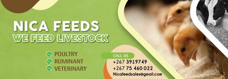 NICA Feeds