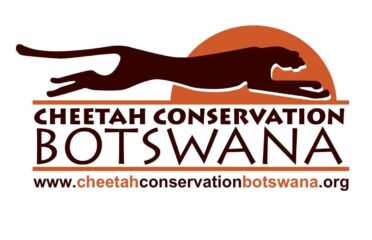 Cheetah Conservation Botswana
