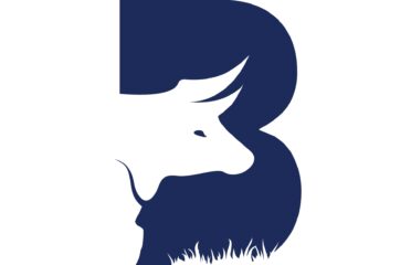 Botswana Insurance Company